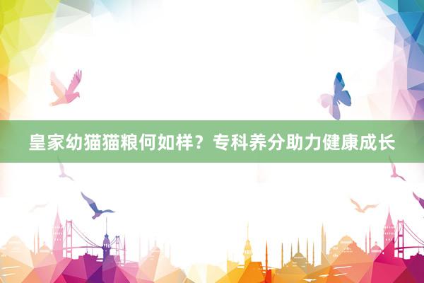 皇家幼猫猫粮何如样？专科养分助力健康成长