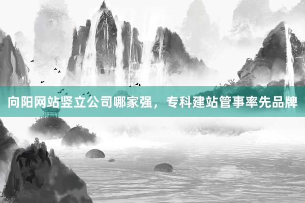 向阳网站竖立公司哪家强，专科建站管事率先品牌