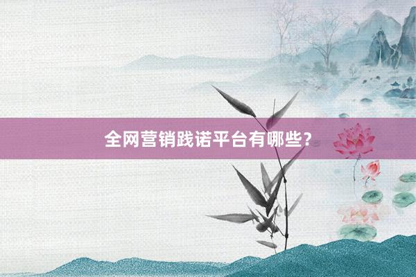 全网营销践诺平台有哪些？